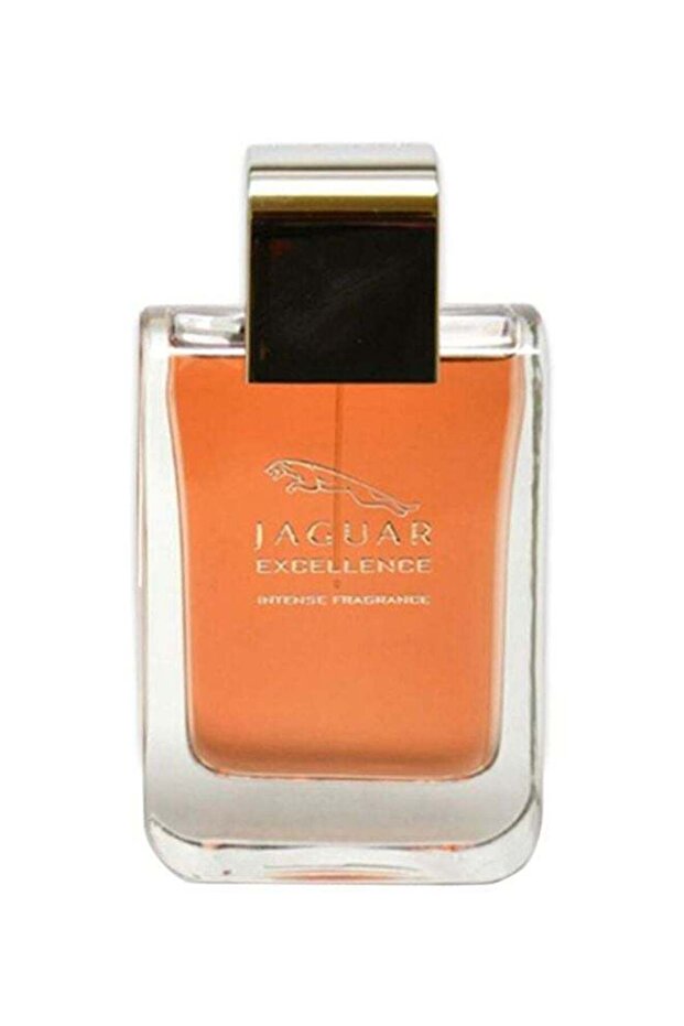 عطر إكسلانس إنتنس أو دو بارفان 100 مل - 1