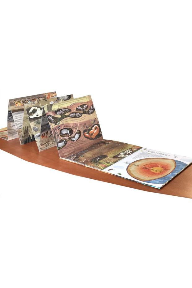 Βήμα βήμα στα βάθη - 5