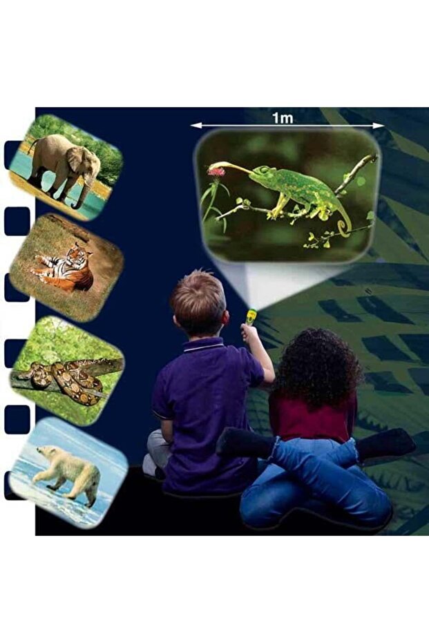 Flashlight projector - Wild animals - 3