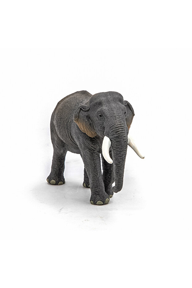 FIGURINA ELEFANT ASIATIC - 4