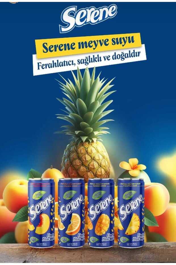 PARÇACIKLI ANANAS SUYU 240 ML (24 ADET) - 3