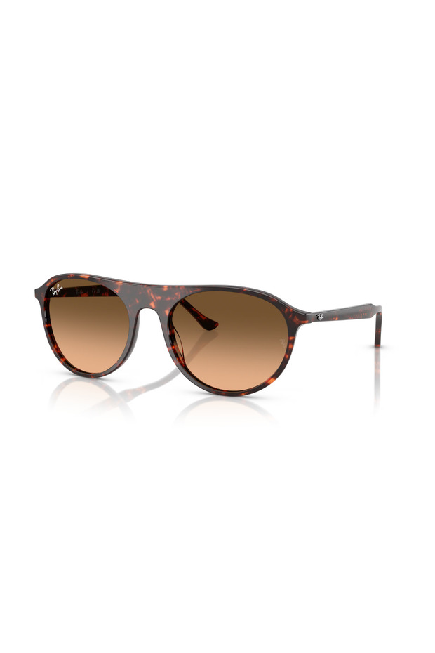 Rb 2215 14293B 56 Sunglasses