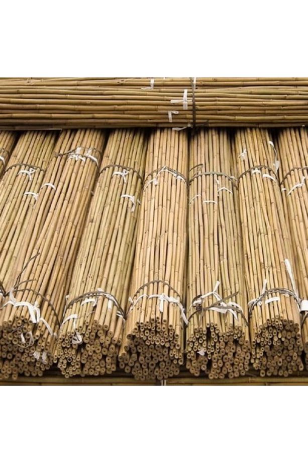 Fidan Dikim Destek Çubuğu 10 Adet (150cm) - 1