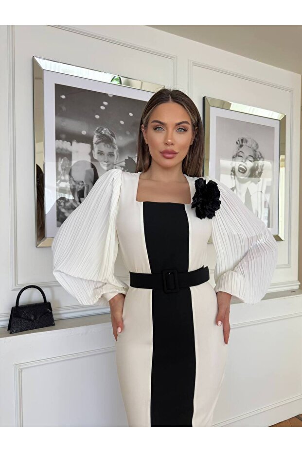 Women's Imported Fabric Striped Rose Detailed Belted Lined Pleated Special Design Dress