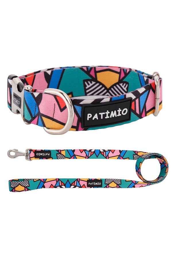 Colorful Köpek Boyun Ve Gezdirme Tasma Seti - 1