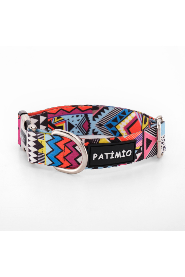 Astro Dog Collar