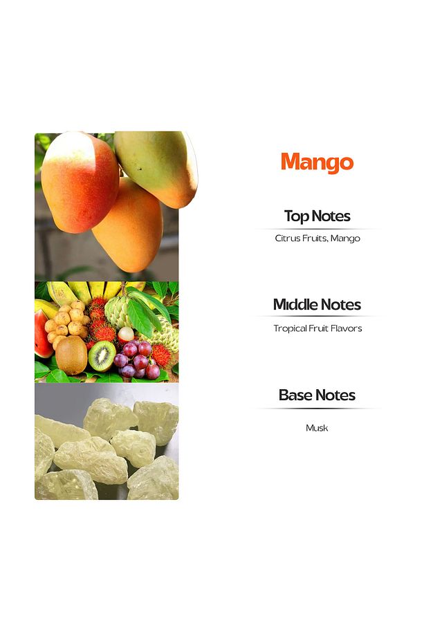 Mango Bambu Çubuklu Oda kokusu Mango Reed Diffuser 120 ML - 3