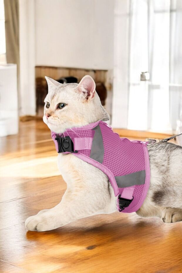 Dog Collar Chest Neck Harness Set with Leash, Sweat-Resistant, Breathable, Reflective Collar