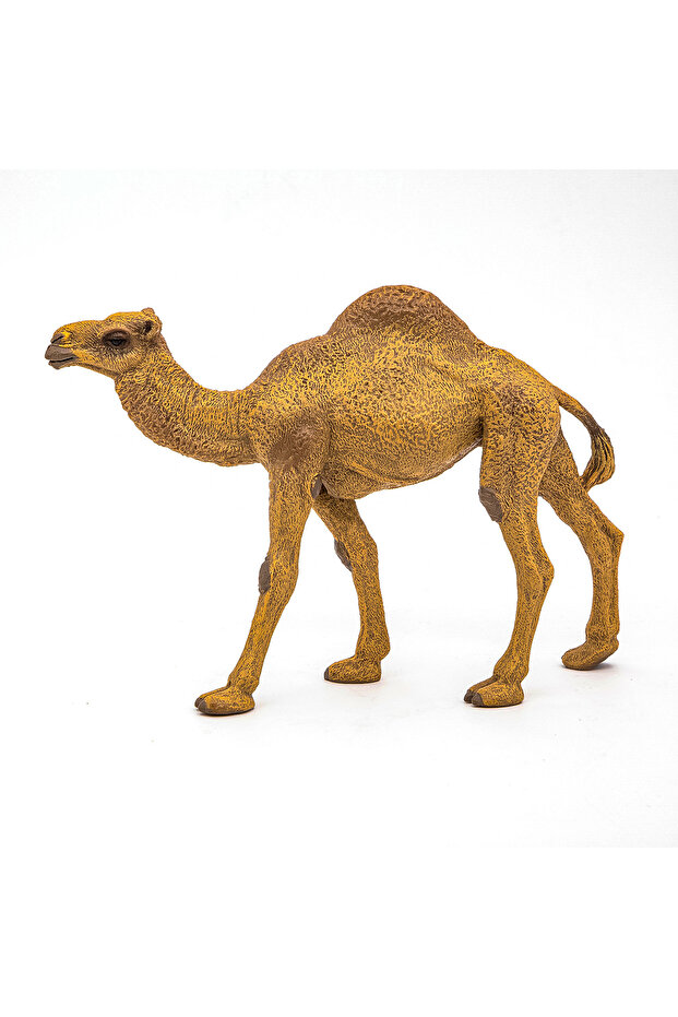 Figurka dromedára - 5