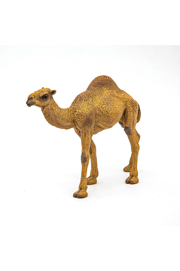 Figurka dromedára - 4
