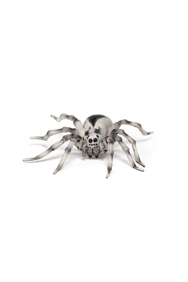 tarantula saldırısı - 4
