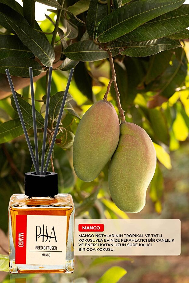 Mango Çubuklu Oda Kokusu Reed Diffuser 100ml - 2