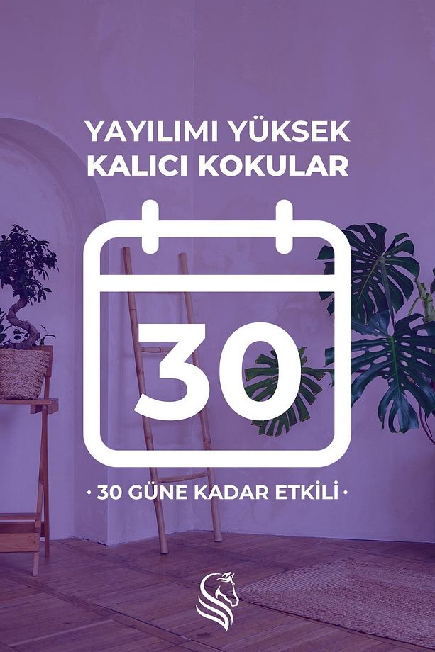 Sümbül Çubuklu Oda Kokusu Hyacinth Reed Diffuser 100ml - 3