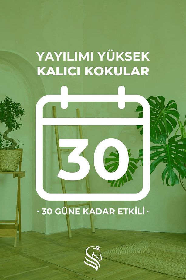 Sandal Ağacı Çubuklu Oda Kokusu Sandalwood Reed Diffuser 100ml - 5