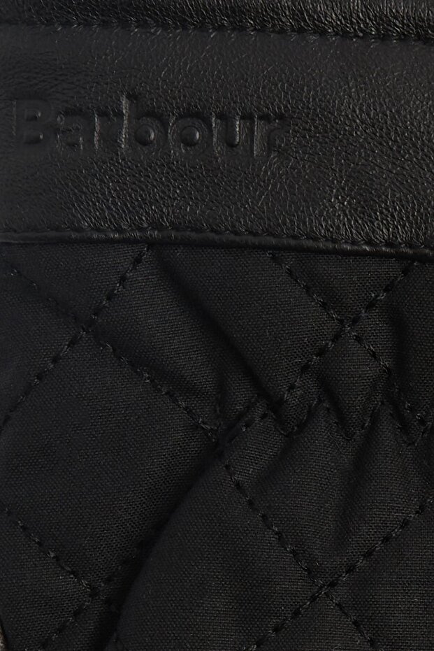 Dalegarth Eldiven Bk11 Black - 3