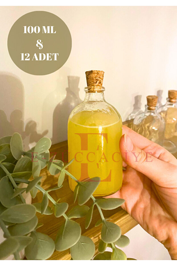 (100 ml) 12 Pieces Glass Ginger Shot Detox Bottle with Leak Proof Cork Cap Multi-Purpose 100 ml