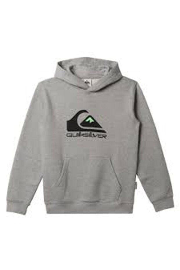 BIG LOGO HOOD - 1