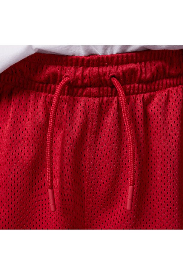 JORDAN JDB MJ BASELINE MESH SHORT ERKEK ÇOCUK ŞORT 95D667-R78 - 4