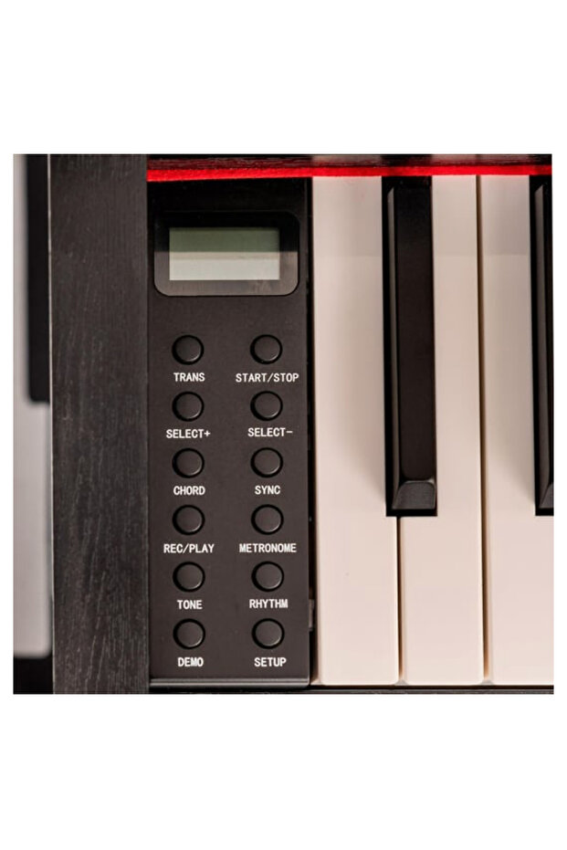 Siyah Dijital Piyano - 6