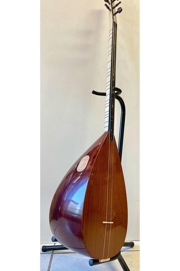 Profesyonel Uzun Sap Ardıç Bağlama - 1