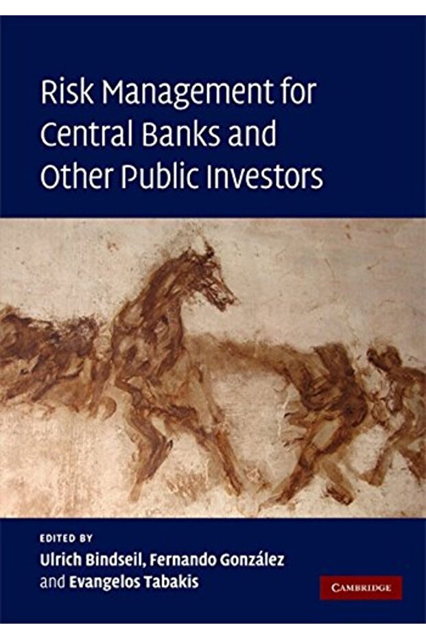 Risk Management For Central Banks And Other Public Investors
