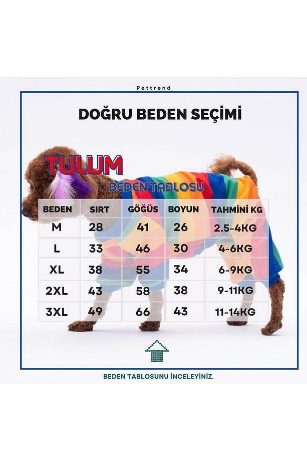 Ruby Gökkuşağı Penye Tulum Kedi Köpek Tulumu Kedi Köpek Kıyafeti Köpek Pijaması - 3