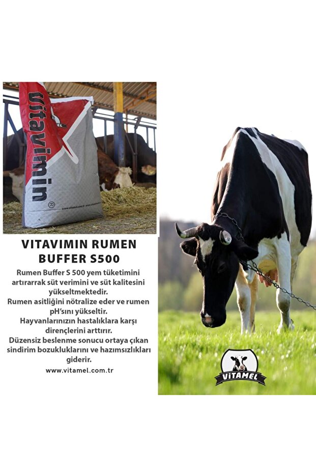 Rumen BUFFER S 500 - 4