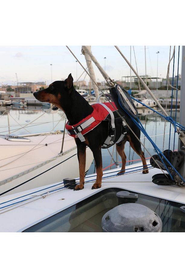 Comfy Köpek Can Yeleği , 40-80kg, Xl,kırm. - 1