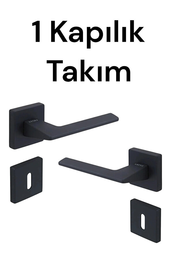 Siyah Kapı Kolu Oda Rozetli Via - 3
