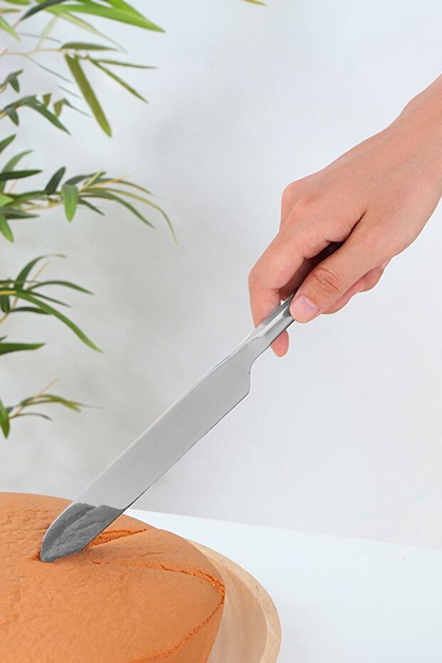 Çelik Silver Pasta Spatula Bıçak Seti Kek Sunum cin615by - 6