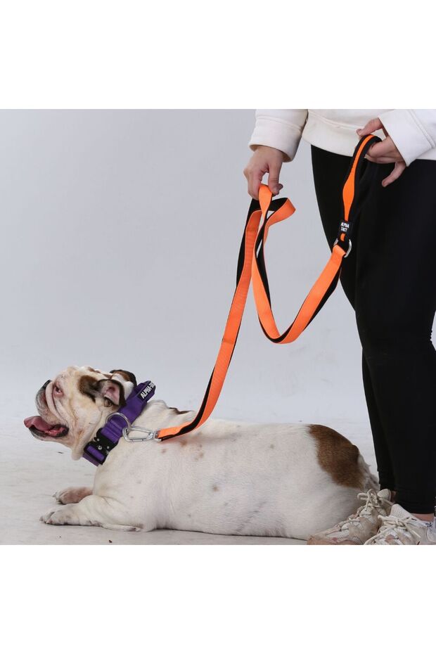 Climblead Gezdirme Kayışı-Çok Yönlü Kontrol - 6