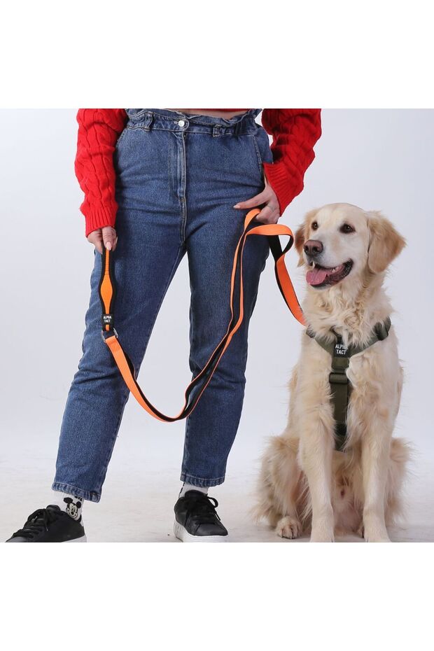 Climblead Gezdirme Kayışı-Çok Yönlü Kontrol - 8