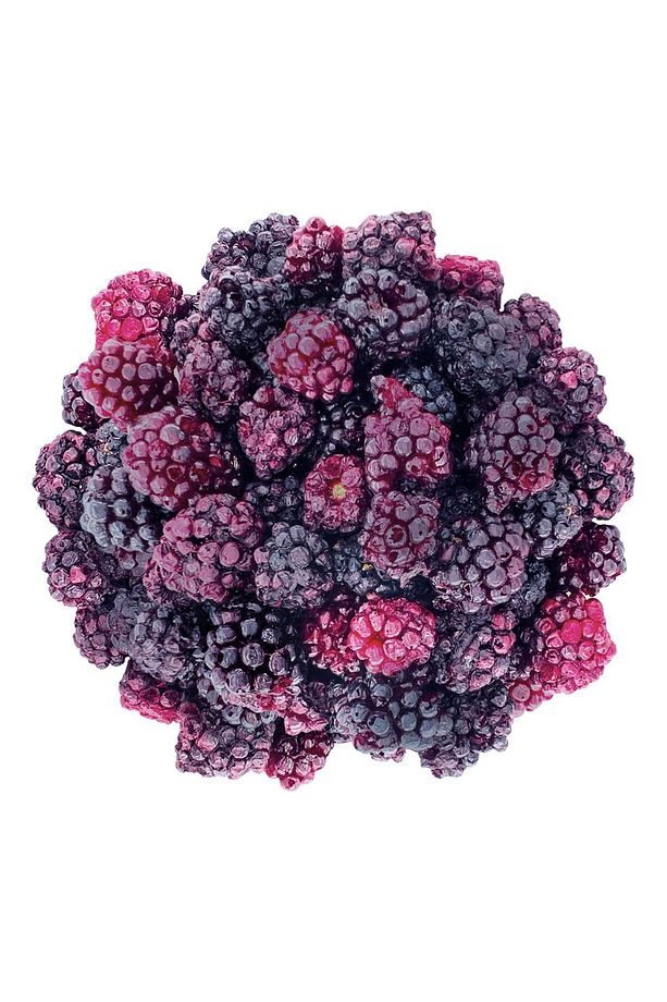 Böğürtlen Kuru Meyve Cipsi - Dondurularak Kurutulmuş Freeze Dried Çıtır Böğürtlen - 3