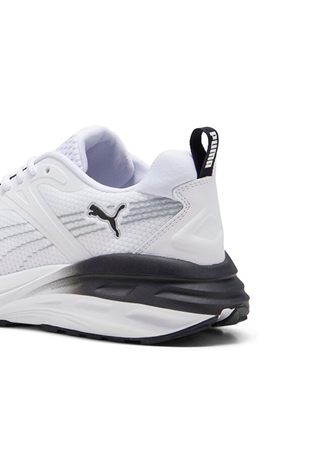 Hypnotic Sneakers - 6