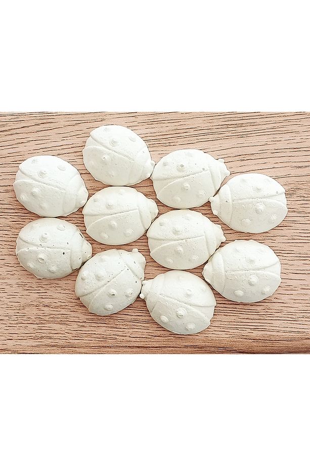 100 Adet Uğur Böceği Boyamaya Uygun - 1