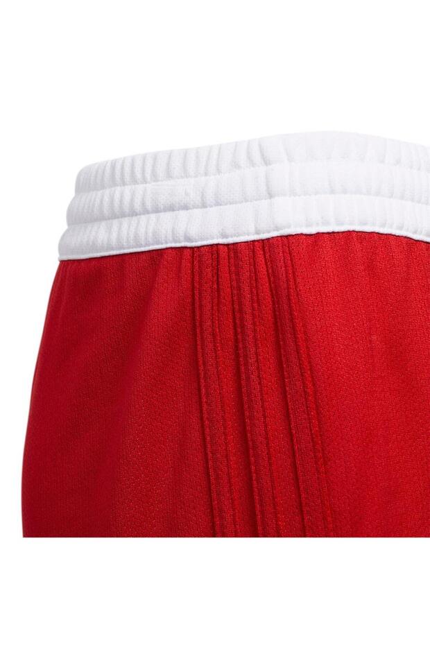Basket Şortu Dy6627 - 5