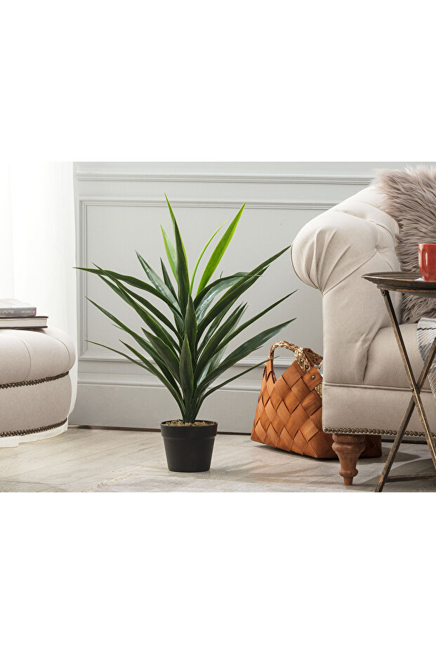 Grannier Saksılı Bitki - 1