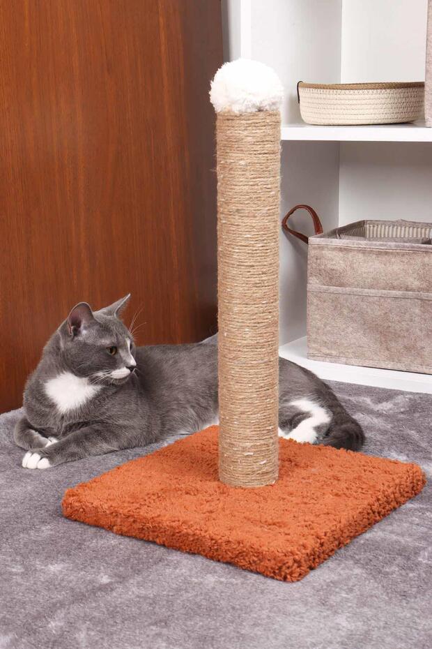 Mixed Color Cat Scratching Board - 5