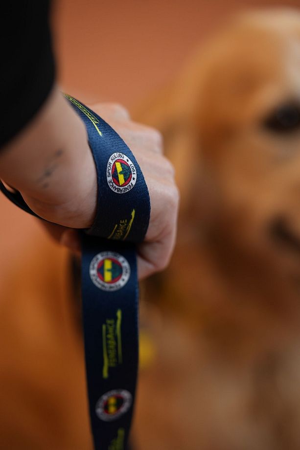 Fenerbahçe, lacivert Logo, Köpek Tasması, köpek Gezdirme Kayışı - 3