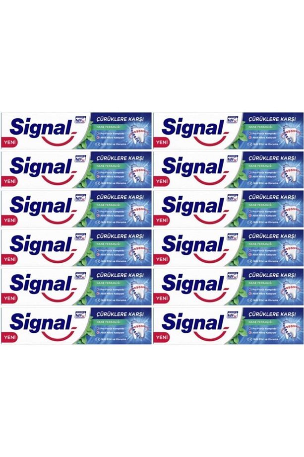 Çürüklere Karşı Nane Ferahlığı Diş Macunu 100ml 12 Adet - 1