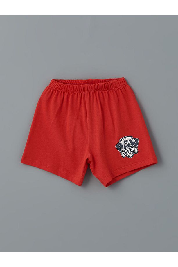 LCW baby Ekru Paw Patrol Baskılı Erkek Bebek Şortlu Pijama Takım - 3