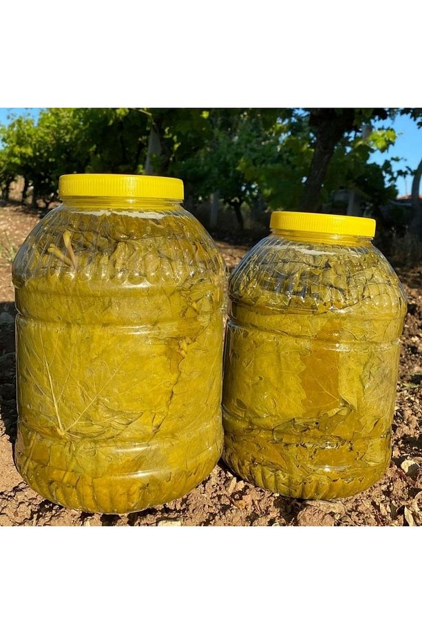 Yaprak Salamura Manisa Uç Yaprak Net 1 kg - 3