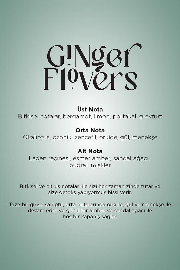 A1 Eco Geniş Alan Koku Makinesi ve Ginger Flowers A1 Koku Kartuşu 200 ML Seti - 5