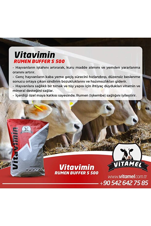 Rumen BUFFER S 500 - 5
