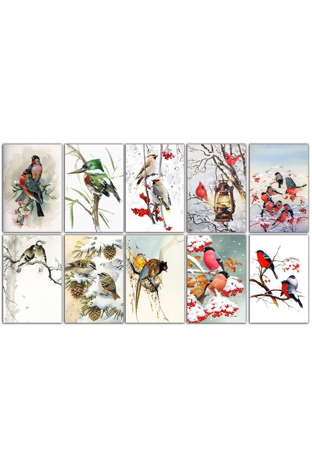 Postcard Set 10x15 cm