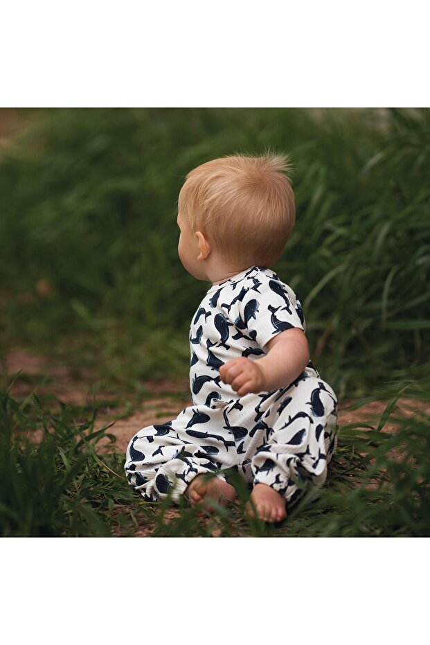 Organik Bej Balina Desenli Çıtçıtlı Kısa Kollu Erkek Bebek Body - 4