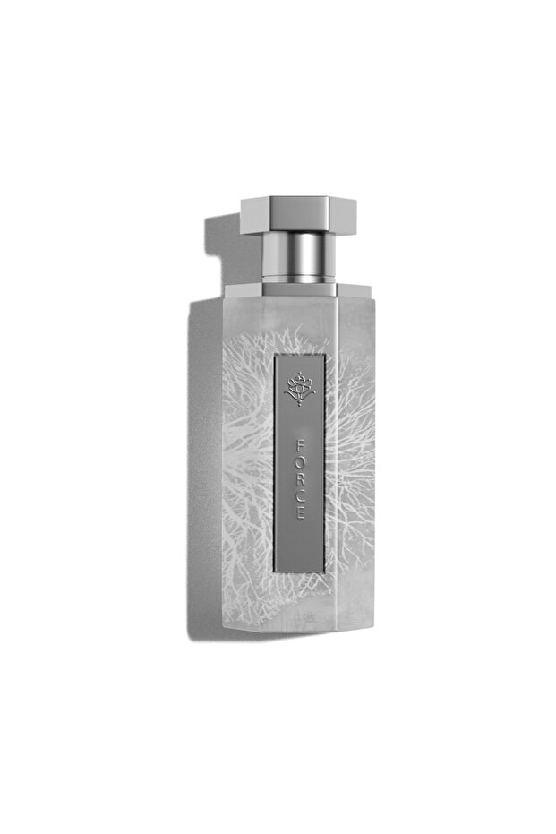 عطر فورس من ريف  - 200 مل - 3