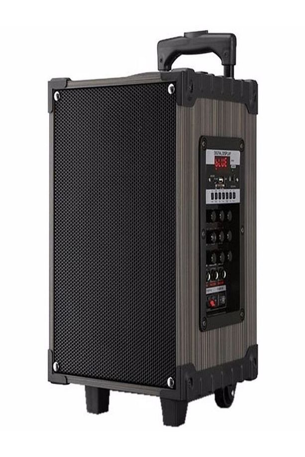 Lt-908 Süper Bass Şarjlı Mikrofonlu Hoparlör Karaoke Sistemi 40 Watt Taşınabilir Parti Box - 8