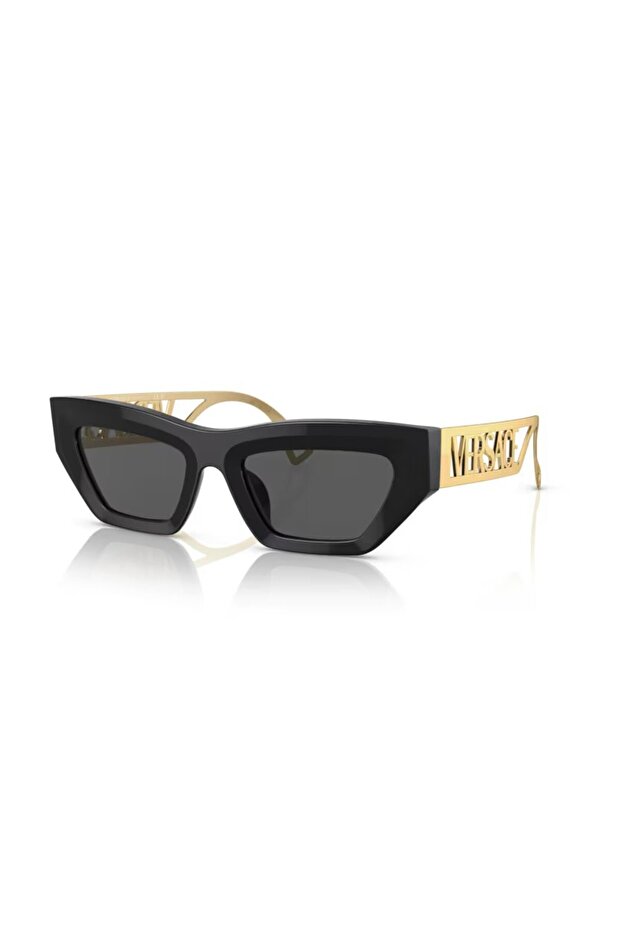 4432 Gb1 87 53 Women's Sunglasses