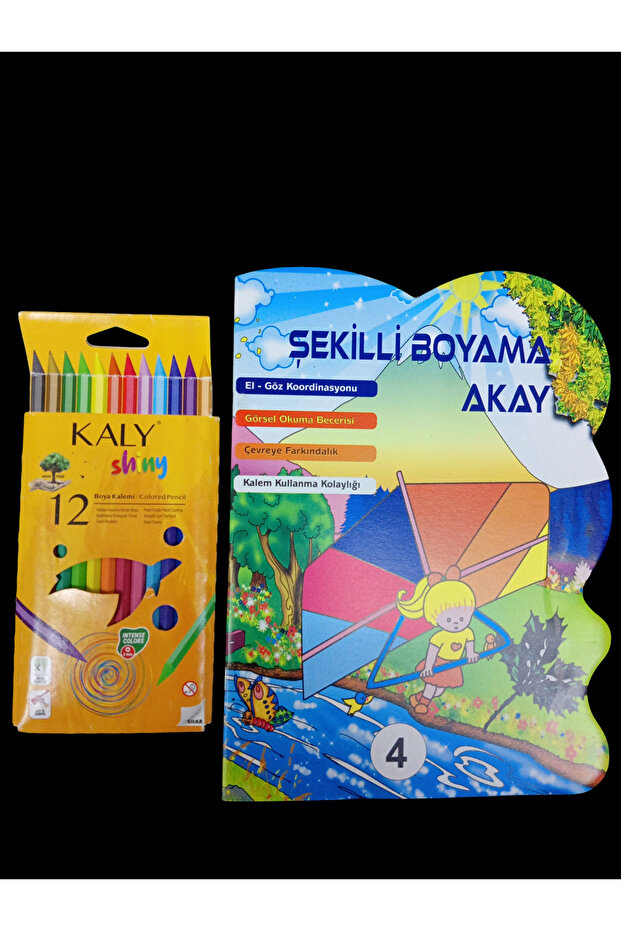 ŞEKİLLİ BOYAMA SETİ